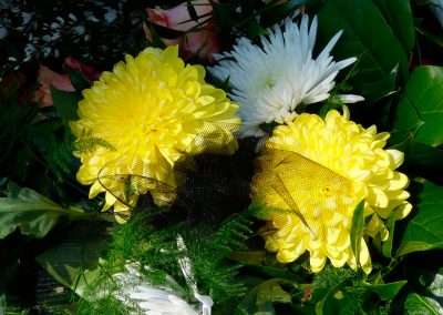 Condolencias